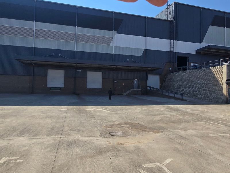 Industrial rear yard featuring multiple loading docks with roller shutter doors, concrete hardstand, and a retaining wall structure.