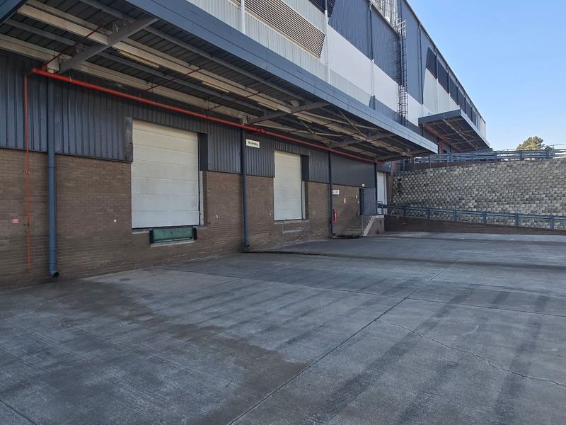 Industrial rear yard featuring a concrete loading area, multiple roller shutter doors, and a protective steel canopy for efficient logistics operations.