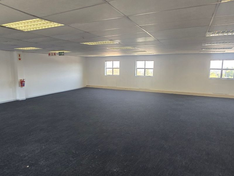 A spacious, open-plan commercial office area featuring a suspended ceiling, recessed lighting, and carpeted flooring with ample natural light.