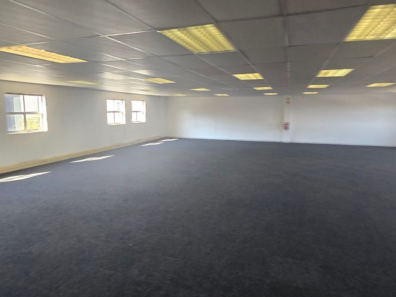 A spacious, open-plan commercial office area featuring a suspended ceiling with recessed lighting and fitted carpeting throughout.