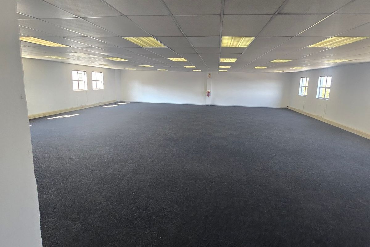 A large, open-plan commercial office space featuring a suspended ceiling with recessed lighting and dark carpeting, offering a versatile layout for various business configurations.