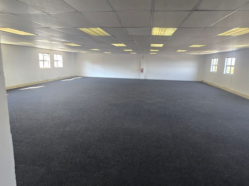 A large, open-plan commercial office space featuring a suspended ceiling with recessed lighting and dark carpeting, offering a versatile layout for various business configurations.