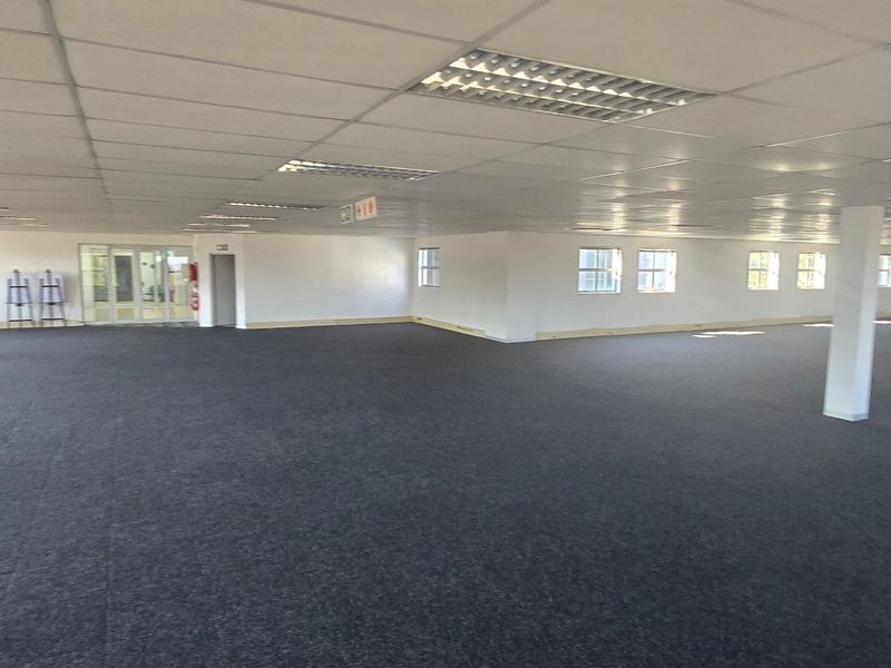 A spacious, open-plan commercial office area featuring a suspended ceiling, recessed lighting, and neutral carpeting, offering a versatile layout for various business configurations.