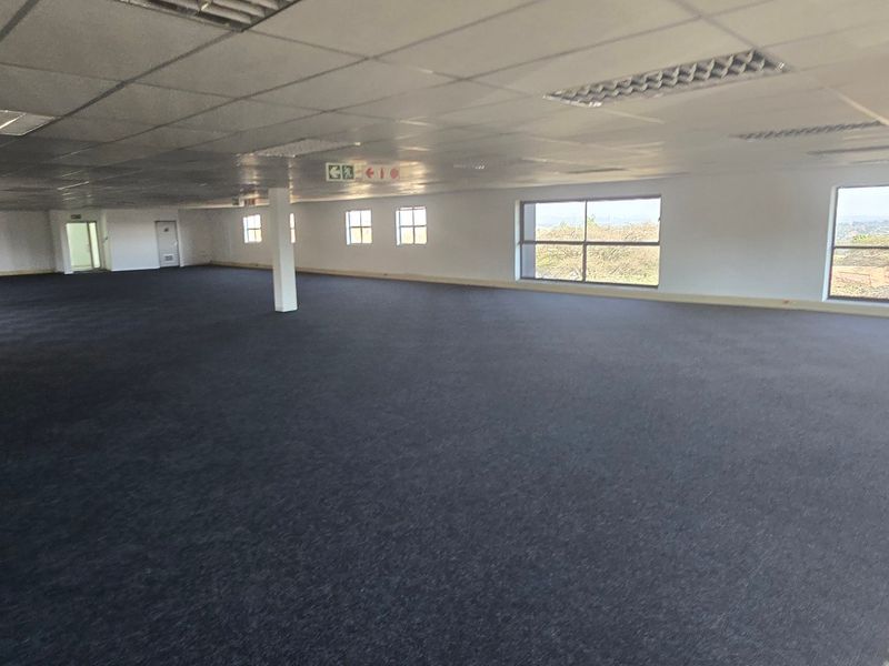 A spacious, open-plan commercial office area featuring carpeted flooring, a suspended ceiling with integrated lighting, and large windows providing natural light.