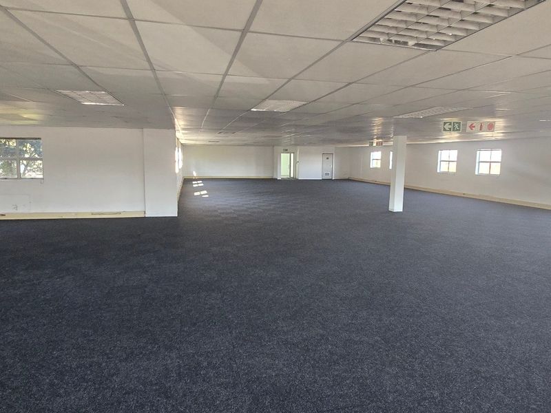 A large, open-plan commercial office space featuring a suspended ceiling, recessed lighting, and carpeted flooring, offering a versatile layout for various business configurations.
