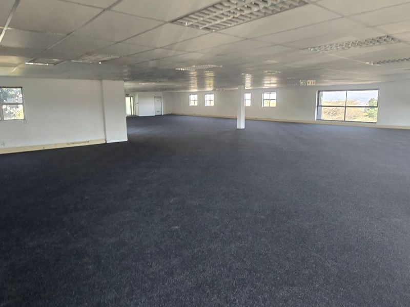 A large, open-plan commercial office space featuring dark carpeting, suspended ceilings with recessed lighting, and expansive windows providing natural light.