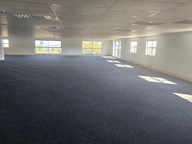 A large, open-plan commercial office space featuring dark carpeting, suspended ceilings with recessed lighting, and multiple windows providing natural light.