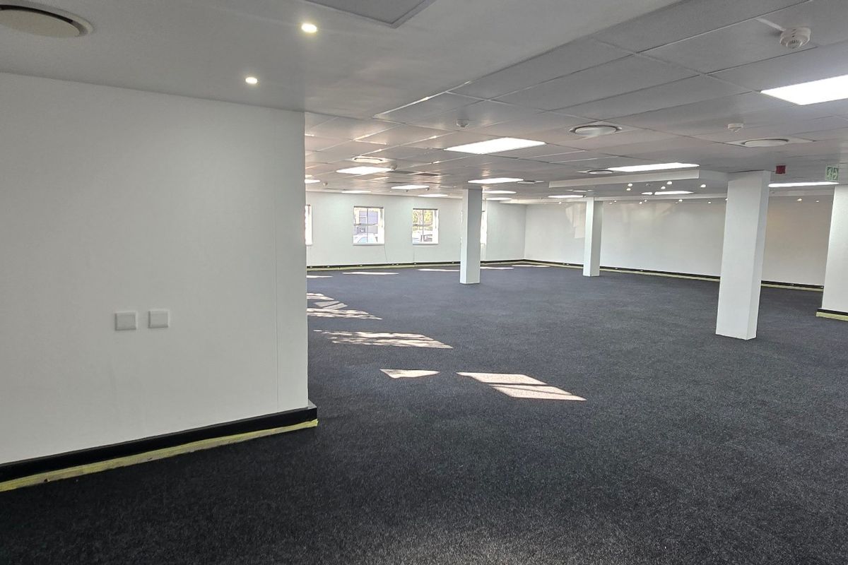 Spacious open-plan commercial office area featuring a suspended ceiling, recessed lighting, and carpeted flooring, providing a versatile workspace.