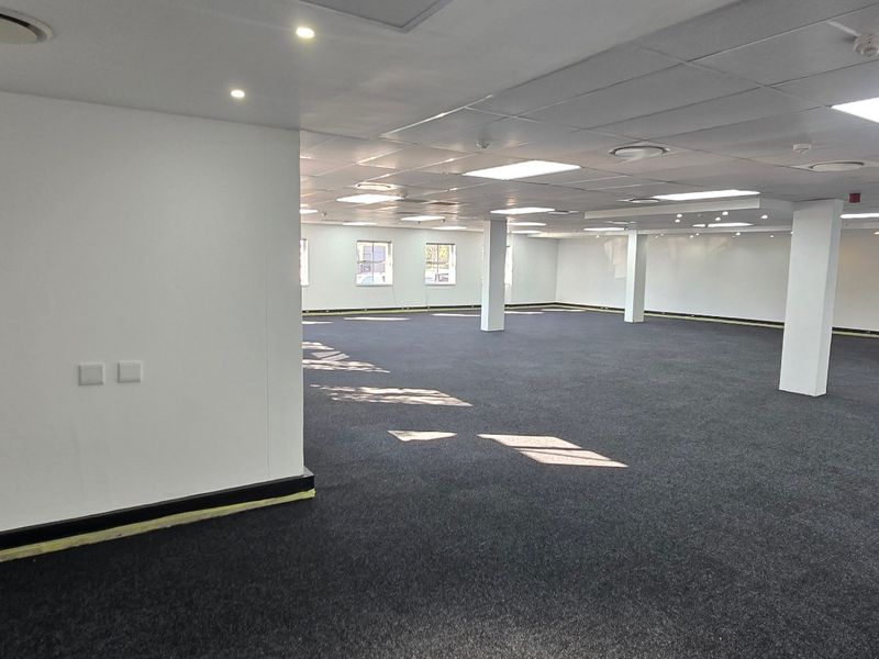 Spacious open-plan commercial office area featuring a suspended ceiling, recessed lighting, and carpeted flooring, providing a versatile workspace.