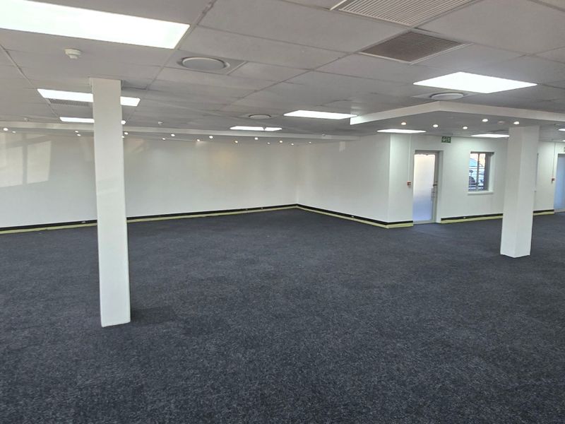 Spacious open-plan commercial office area featuring a suspended ceiling, recessed lighting, structural columns, and durable carpet tiles.