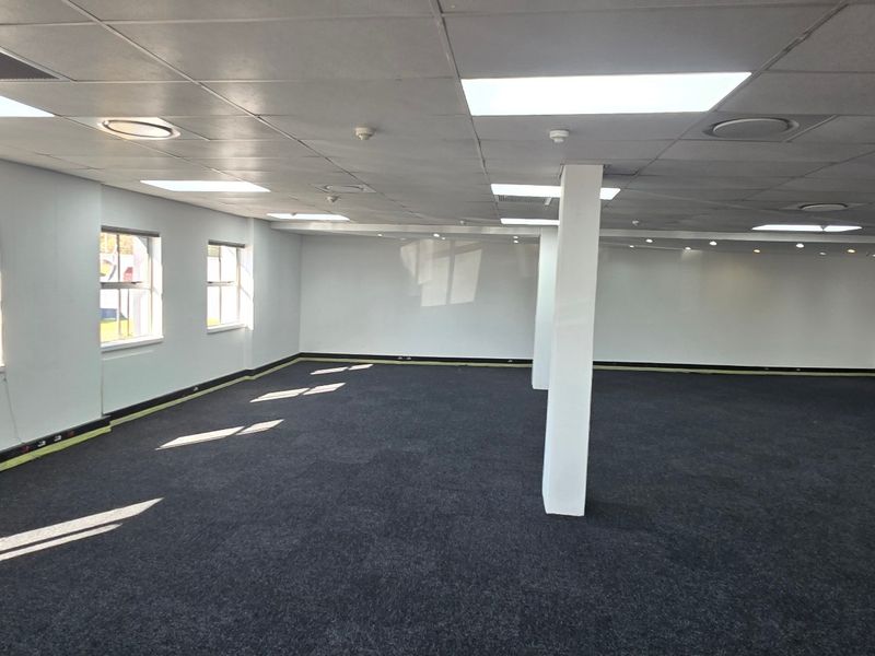 A spacious, open-plan commercial office area featuring a suspended ceiling, recessed lighting, and dark carpeting, providing a clean and versatile workspace.
