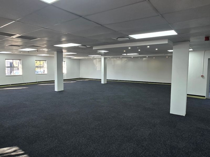 A spacious, open-plan commercial office area featuring a suspended ceiling, recessed lighting, and dark carpeting, providing a clean and versatile workspace.
