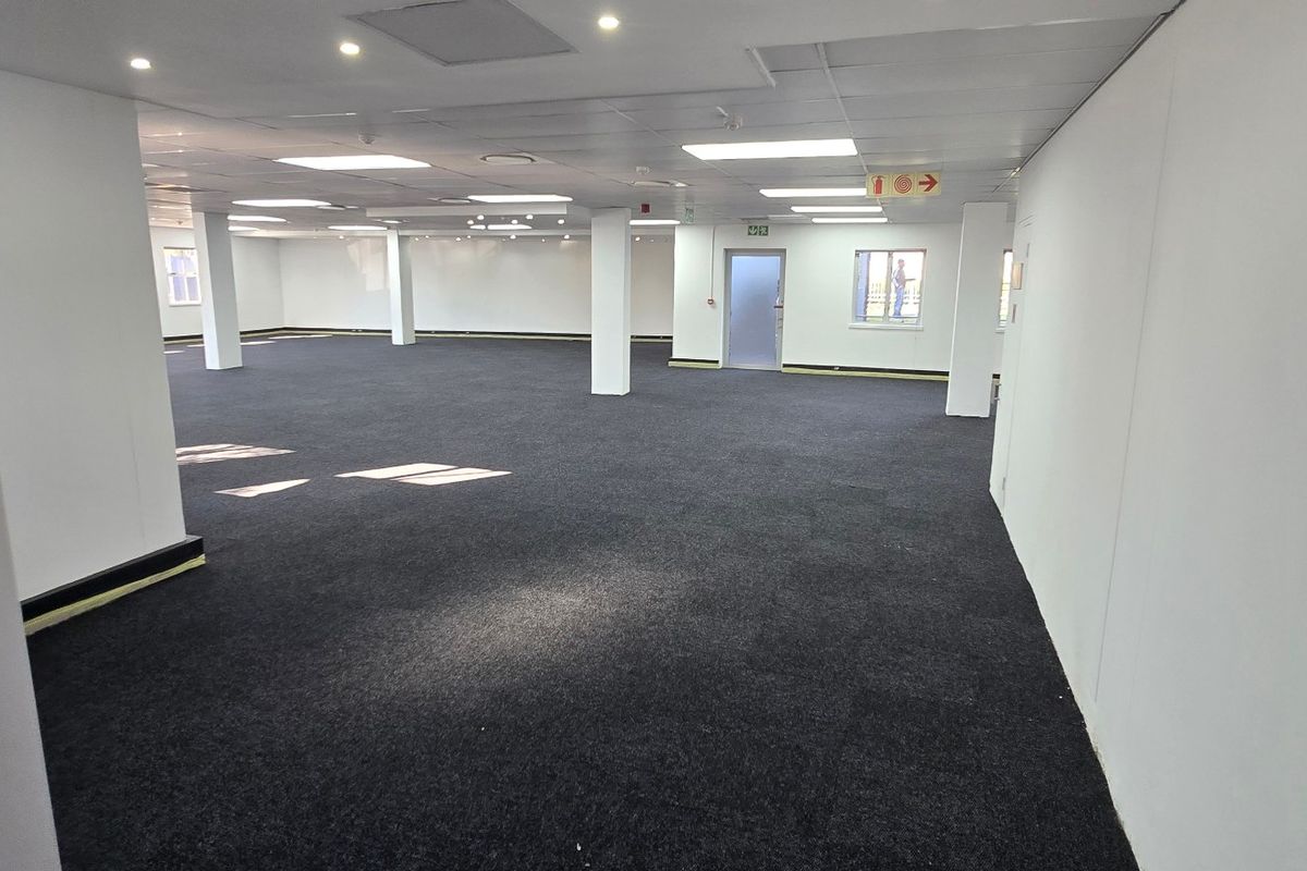 A spacious, open-plan commercial office area featuring a suspended ceiling, recessed lighting, and neutral carpeting, suitable for a flexible workspace layout.
