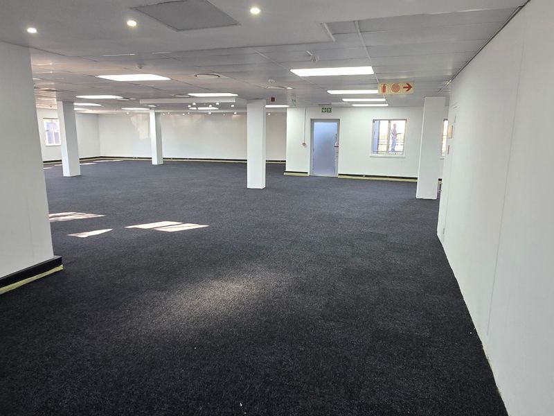 A spacious, open-plan commercial office area featuring a suspended ceiling, recessed lighting, and neutral carpeting, suitable for a flexible workspace layout.