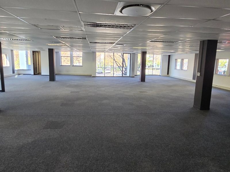 Spacious open-plan commercial office area featuring a suspended ceiling, large windows providing natural light, and structural columns throughout.