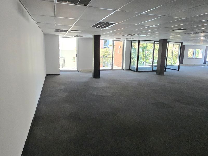 Spacious open-plan commercial office area featuring suspended ceilings, recessed lighting, structural columns, and large windows providing ample natural light.