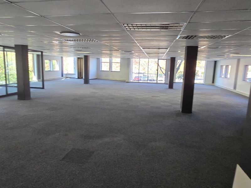 Spacious open-plan commercial office area featuring suspended ceilings, structural columns, and large windows providing ample natural light.