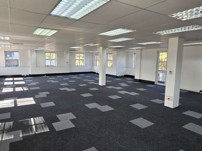Spacious open-plan office area featuring suspended ceilings, recessed lighting, carpet tiles, and large windows providing ample natural light.