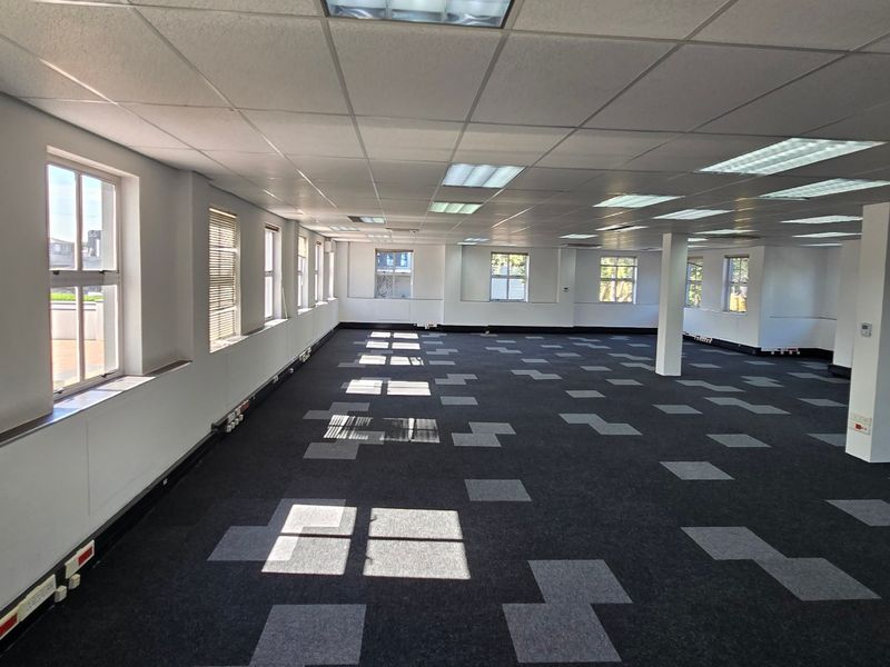 Spacious open-plan commercial office area featuring carpet tiles, suspended ceilings with recessed lighting, and large windows providing ample natural light.