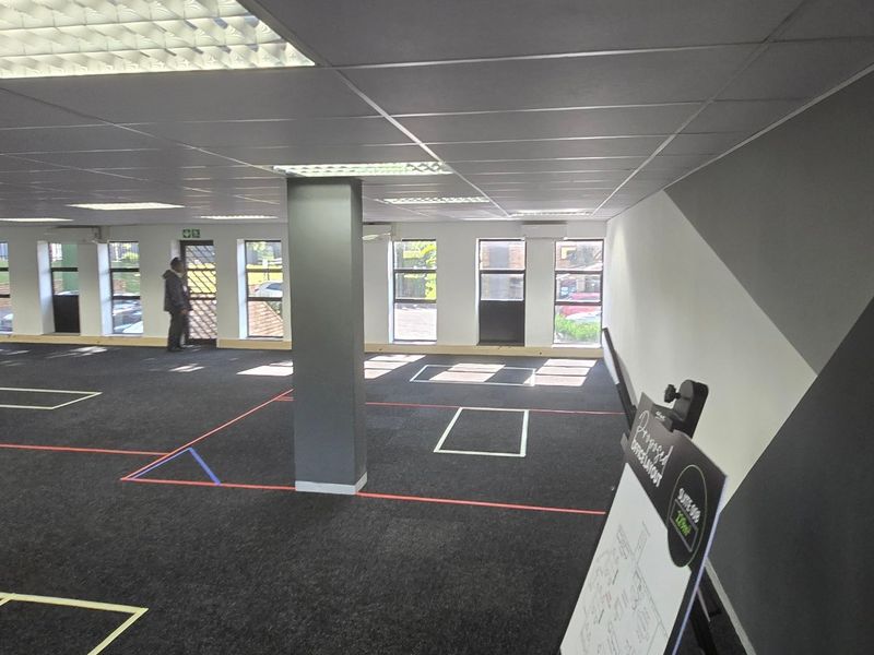 Spacious open-plan commercial office area featuring a suspended ceiling, recessed lighting, carpeted floors, and large windows providing ample natural light.