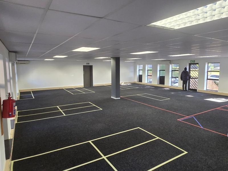 Spacious open-plan commercial office area featuring a suspended ceiling, recessed lighting, carpeted flooring, and large windows providing ample natural light.