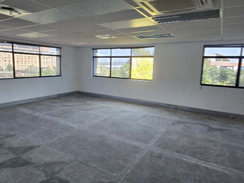 An empty commercial office space featuring large windows, a suspended ceiling with recessed lighting, and unfinished concrete flooring.