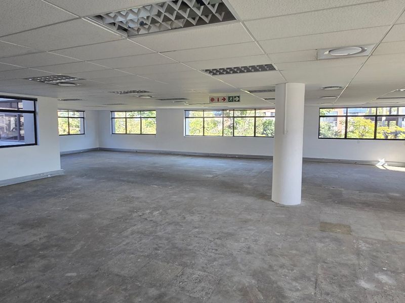 Spacious open-plan commercial office area featuring large windows, suspended ceilings with recessed lighting, and an unfinished concrete floor ready for custom flooring installation.