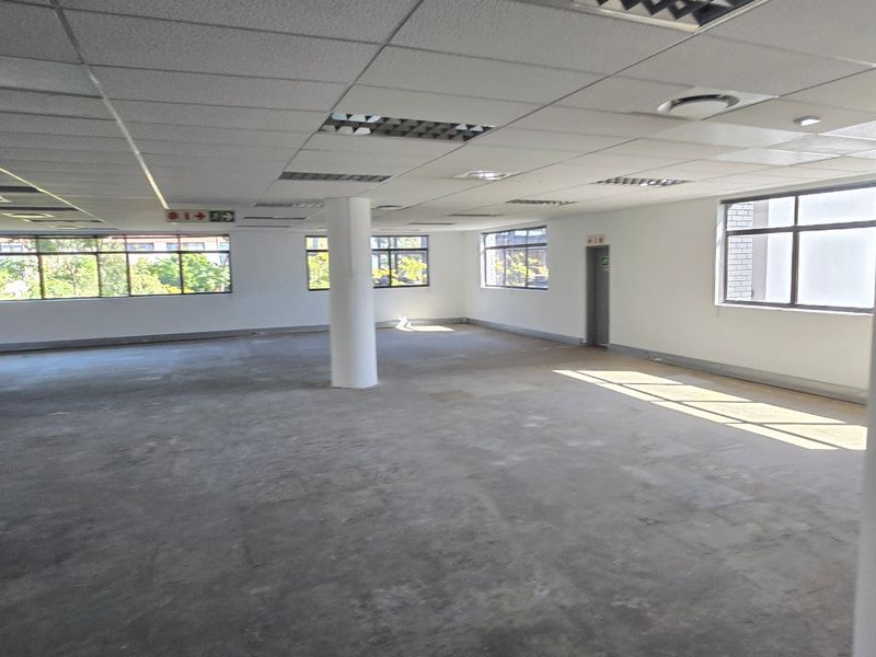 A spacious, open-plan commercial office area featuring a suspended ceiling, recessed lighting, and large windows providing ample natural light.