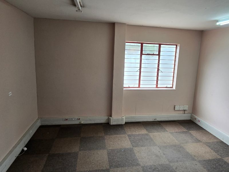 An empty office space featuring carpet tiles, fluorescent lighting, and a steel-framed window, suitable for a functional workspace or commercial studio.