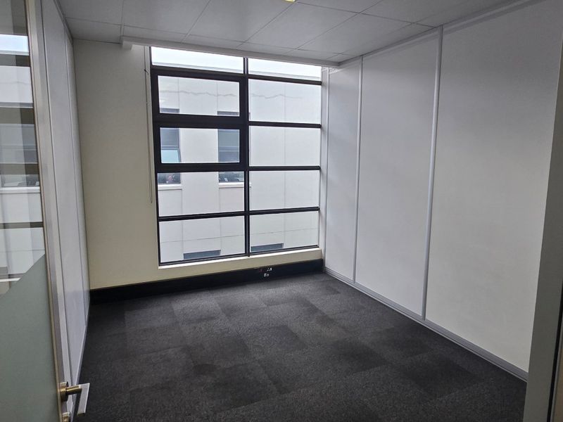 A clean, empty office space featuring carpet tiles, a suspended ceiling, and large windows providing natural light through a glass-partitioned entrance.
