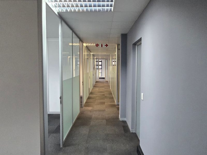 A clean, modern commercial office hallway featuring glass partition walls, carpeted flooring, and a suspended ceiling with recessed lighting.