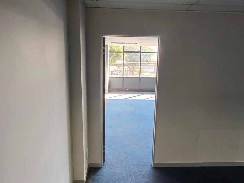 An empty commercial office space featuring neutral walls, carpeted flooring, and a suspended ceiling with natural light entering through large aluminium framed windows.