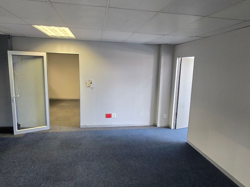 An empty commercial office space featuring blue carpeting, a suspended ceiling with recessed lighting, and multiple access points through glass and standard doors.
