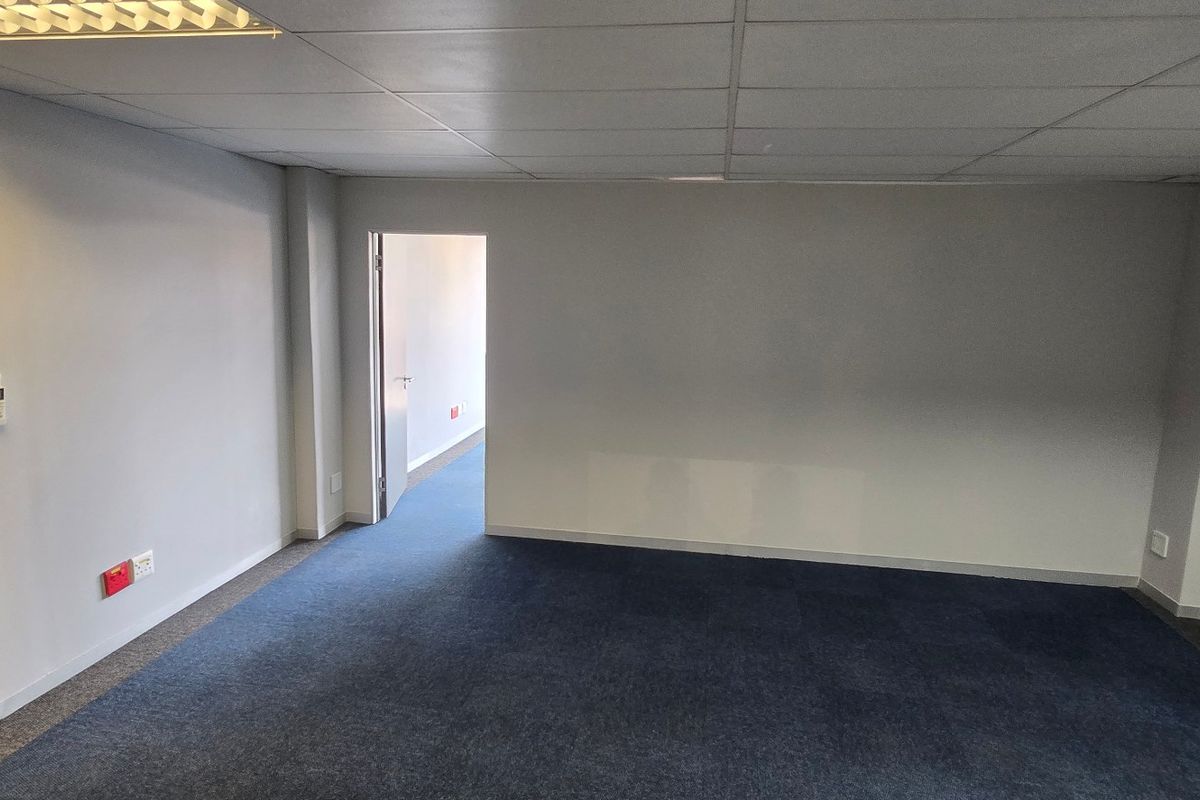 A clean, vacant commercial office space featuring neutral walls, blue carpet tiles, and a suspended ceiling with integrated lighting.