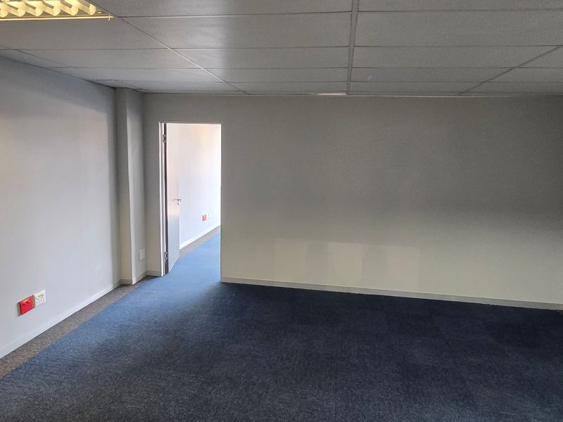 A clean, vacant commercial office space featuring neutral walls, blue carpet tiles, and a suspended ceiling with integrated lighting.