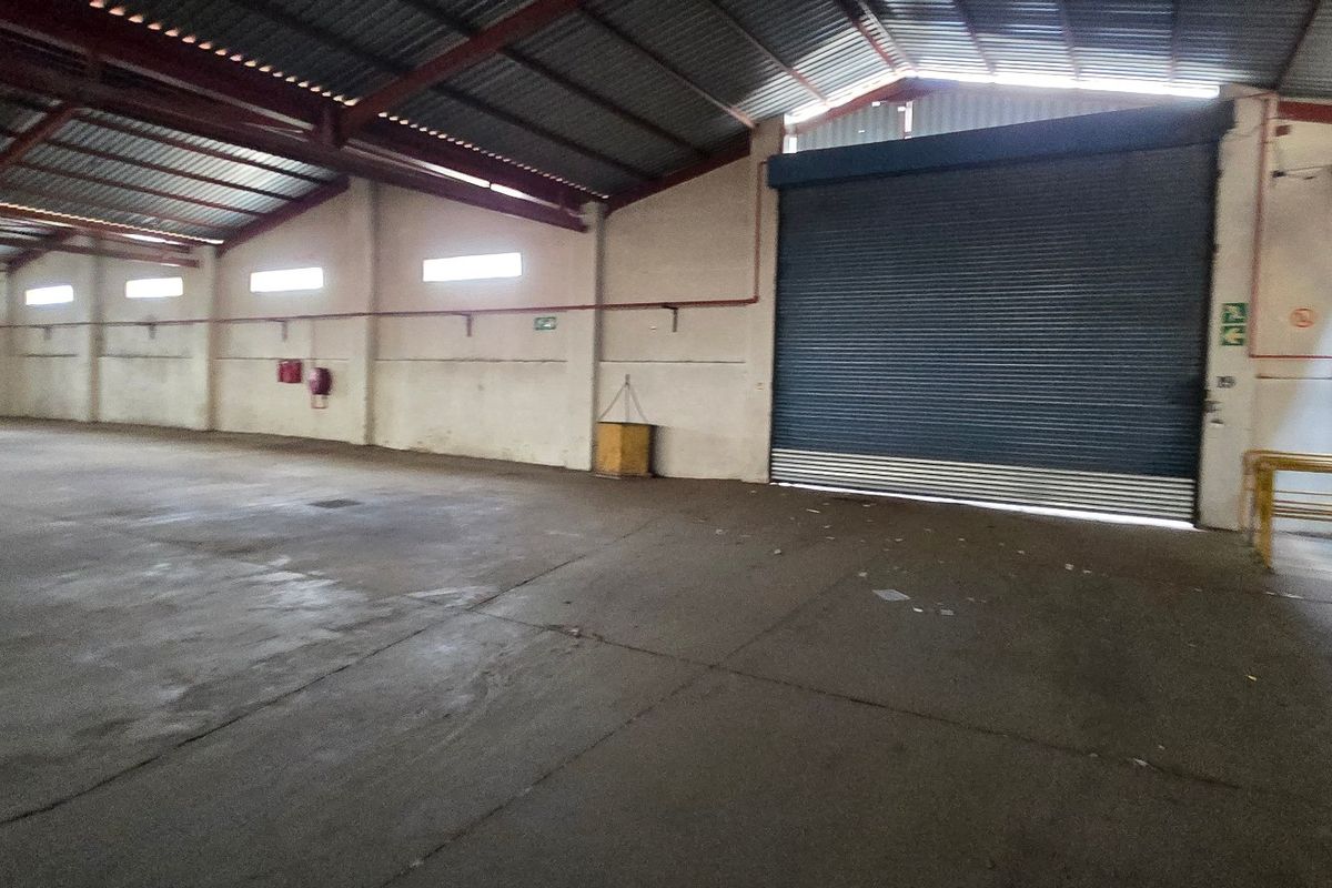 Spacious industrial warehouse unit featuring high ceilings with exposed steel trusses, concrete flooring, and a large roller shutter door for easy access.