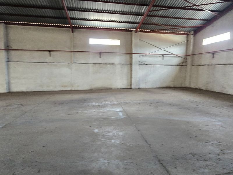 Spacious industrial warehouse unit featuring high ceilings with exposed steel trusses, concrete flooring, and integrated fire sprinkler system.