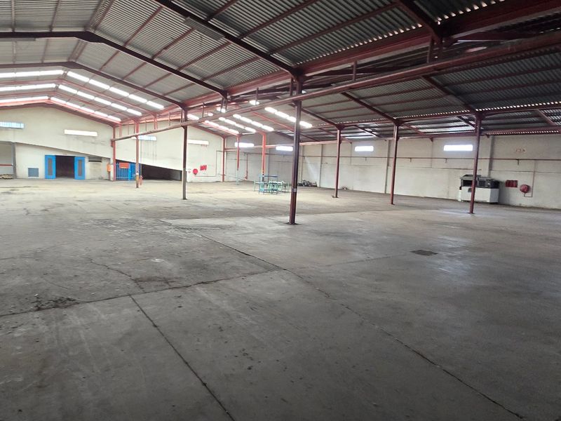 Expansive industrial warehouse space featuring a steel portal frame structure, concrete flooring, and natural light provided by roof skylights.