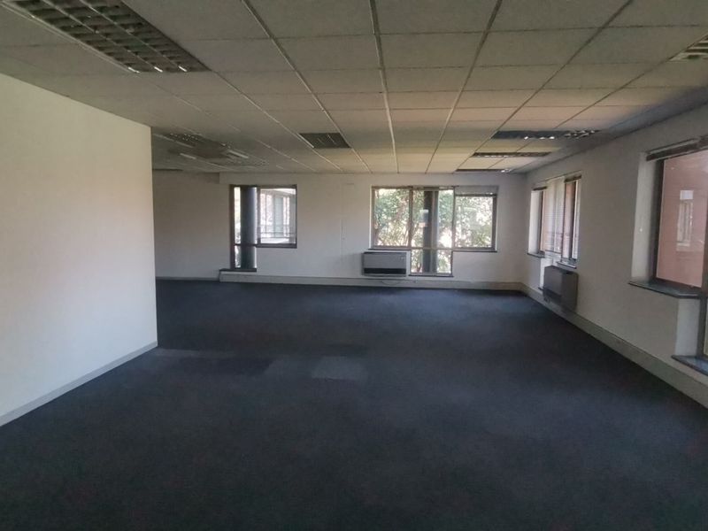 Spacious, open-plan commercial office area featuring a suspended ceiling, recessed lighting, large windows for natural light, and carpeted flooring.