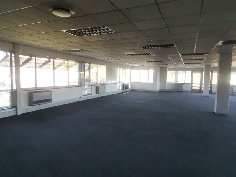 Spacious open-plan commercial office area featuring large windows, suspended ceilings with recessed lighting, and carpeted flooring throughout.