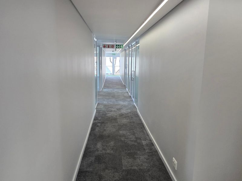 A clean, modern commercial hallway featuring grey carpet tiles, recessed linear lighting, and glass partition doors leading to office spaces.
