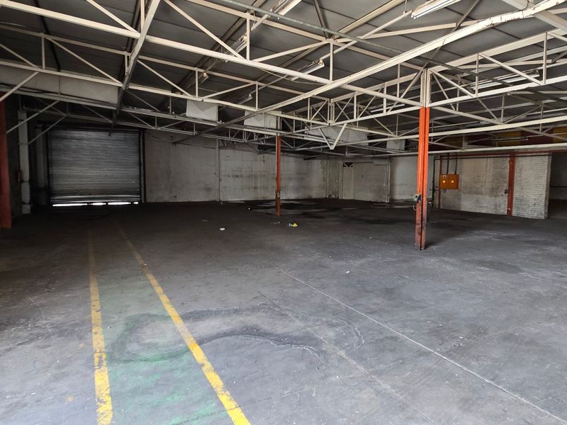 Spacious industrial warehouse featuring high ceilings with exposed steel trusses, concrete flooring, and a large roller shutter door for easy access.