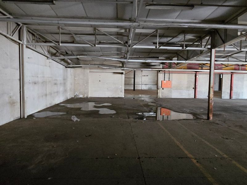 Large open-plan industrial warehouse space featuring exposed steel roof trusses, concrete flooring, and functional utility infrastructure.
