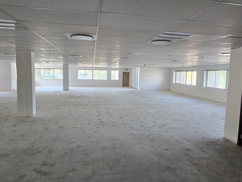A large, open-plan commercial office space featuring a suspended ceiling, recessed lighting, and structural columns, ready for custom fit-out.