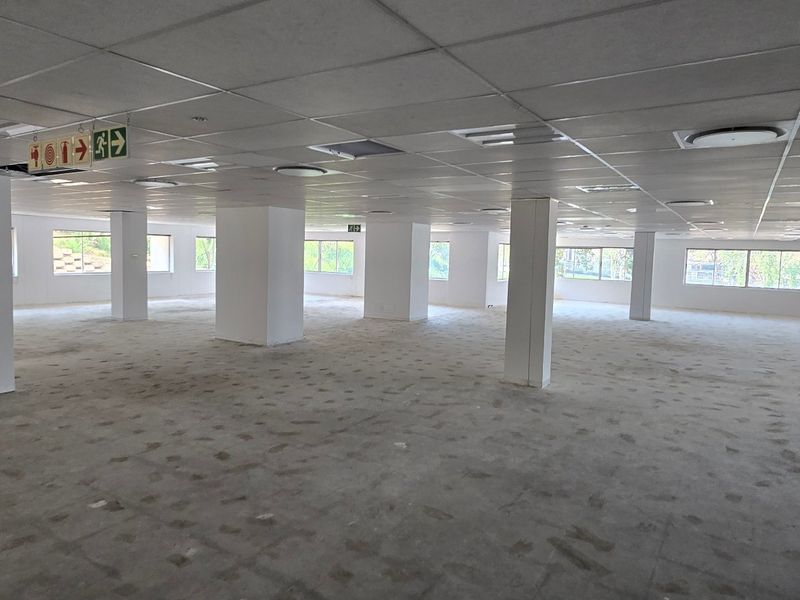 A large, open-plan commercial office space featuring a suspended ceiling, recessed lighting, and structural columns, ready for custom fit-out.