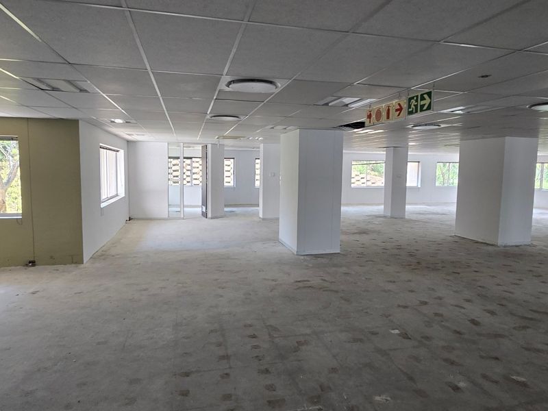 A large, vacant open-plan commercial office space featuring a suspended ceiling, structural columns, and ample natural light from multiple windows.