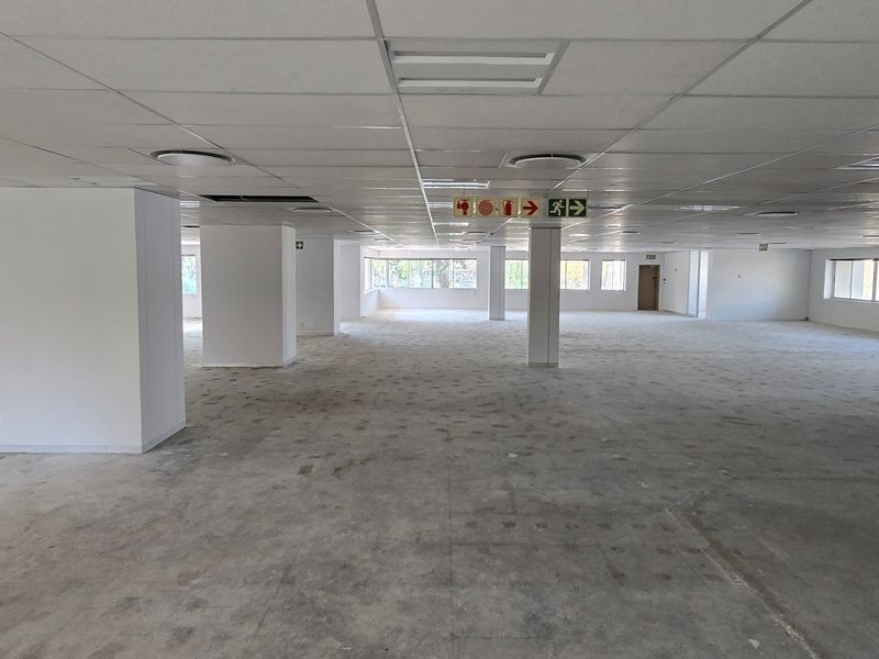 Expansive open-plan commercial office space featuring a suspended ceiling, structural columns, and large windows, currently in a shell condition ready for fit-out.