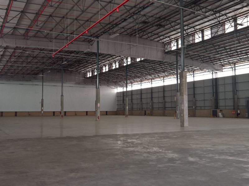 Spacious industrial warehouse featuring high ceilings, exposed steel trusses, concrete flooring, and integrated fire sprinkler systems, suitable for logistics or manufacturing operations.