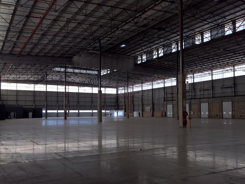 Expansive industrial warehouse space featuring high ceilings, polished concrete floors, multiple roller shutter doors, and integrated fire sprinkler systems.