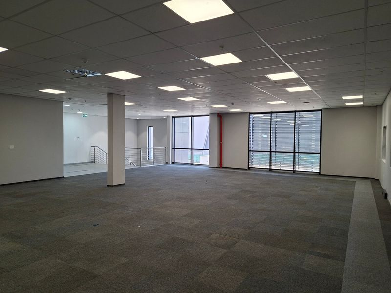 Spacious open-plan industrial office area featuring suspended ceilings, recessed lighting, carpeted flooring, and large windows providing ample natural light.